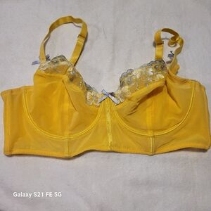 40 DD Adore Me minimizer. underwire bra